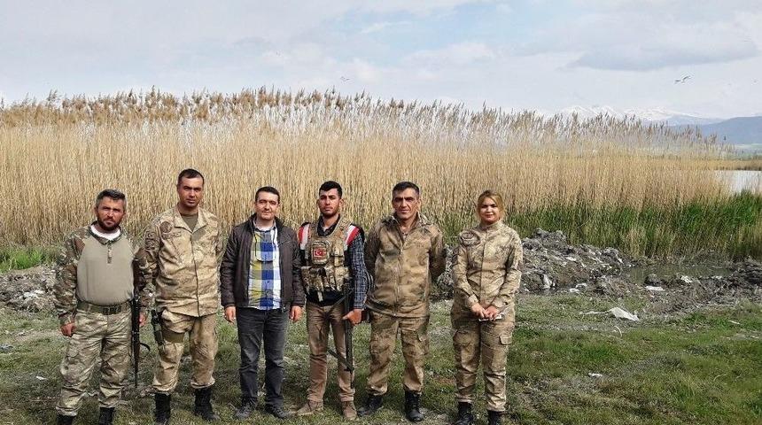 İnci Kefali Koruma &Ccedil;alışmaları &Uuml;lkemize &Ouml;rnek Olacak