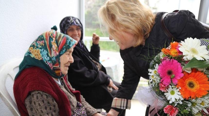 Bodrum’u Bodrum Yapan Çınarlar Unutulmadı