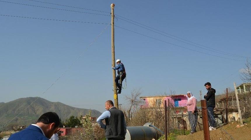 Mahsur Kalan Kediyi Dedaş Ekipleri Kurtardı