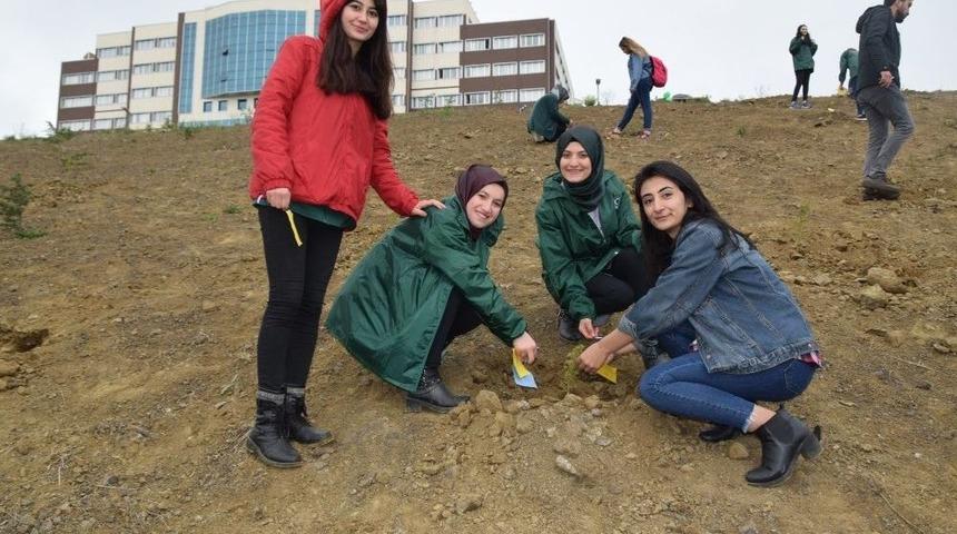 D&uuml;zce &Uuml;niversitesi &Ouml;ğrencilerinden Anlamlı Etkinlik