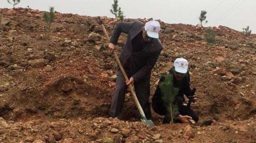 G&ouml;rme Engelliler Ormancılarla Birlikte Fidan Dikti