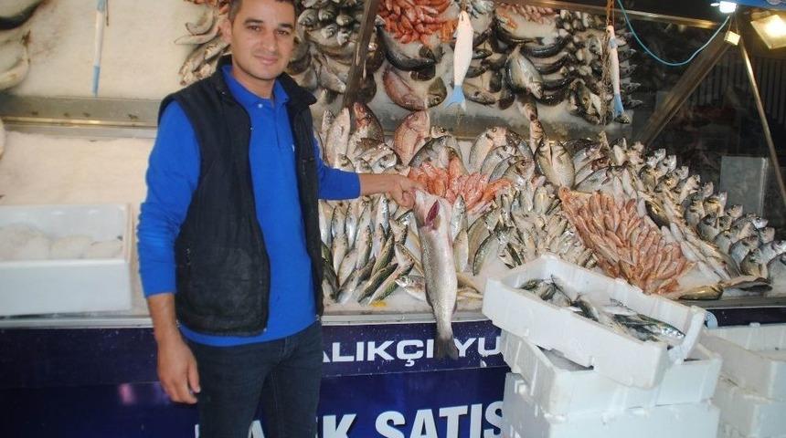 Aydınlılar En Fazla Hafta Sonu Balık T&uuml;ketiyor