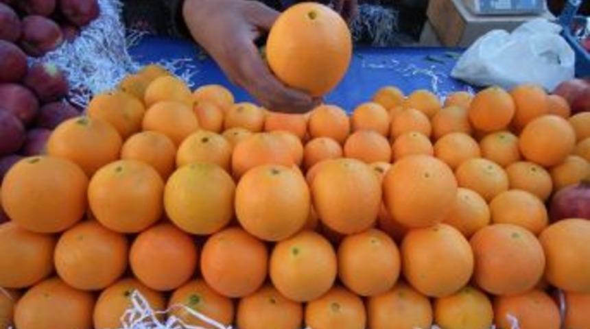 Portakal &Uuml;reticileri Emeklerinin Karşılığını Almak İstiyor