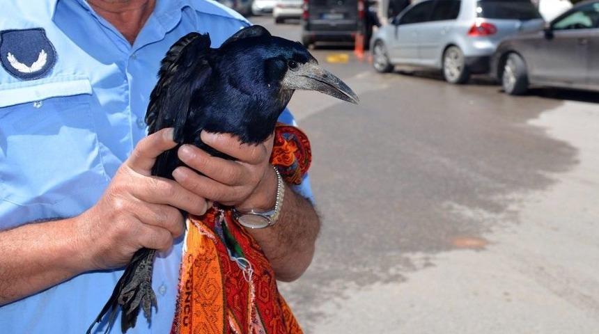 U&ccedil;amayan Karga Trafiği Kilitledi