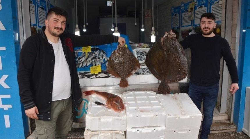 Bin 200 Liraya Dev Kalkan Balığı