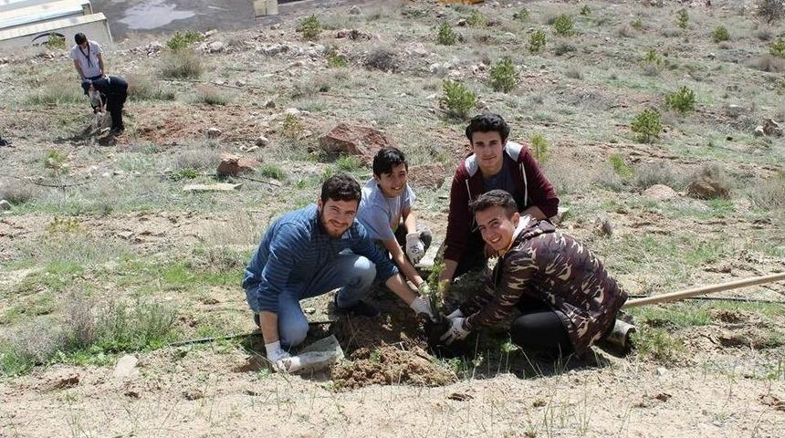 İzciler, Fidan Dikti