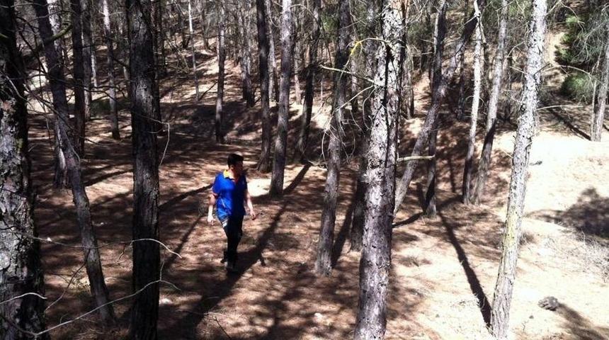 Afad Kaybolan 90 Yaşındaki Kadını Arıyor