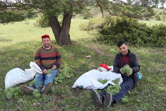 Erzurum’da Çaşır Zamanı