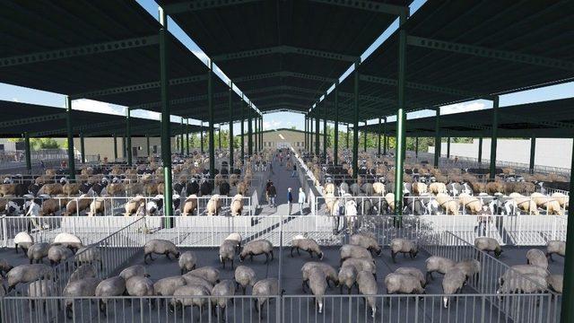 Van’ın Yeni Hayvan Pazarı İçin İmzalar Atıldı