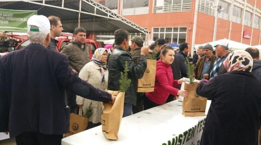 Kargı&rsquo;da Vatandaşlara Fidan Dağıtıldı