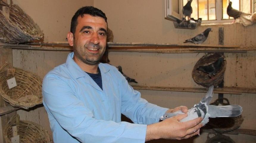 Ne Kavalından Ne De G&uuml;vercinlerinden Vazge&ccedil;ti