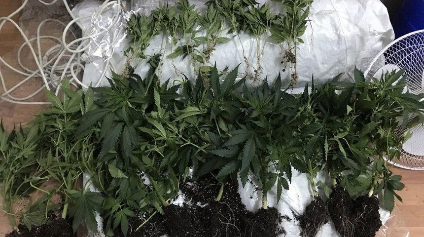 Burdur&rsquo;da &Ouml;zel D&uuml;zenekle Hint Keneviri Yetiştirdiler