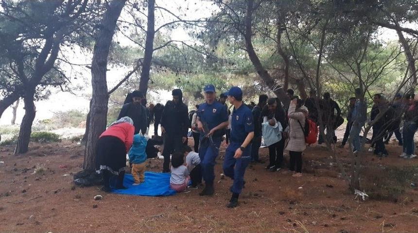 &Ccedil;anakkale&rsquo;de 74 Ka&ccedil;ak Yakalandı