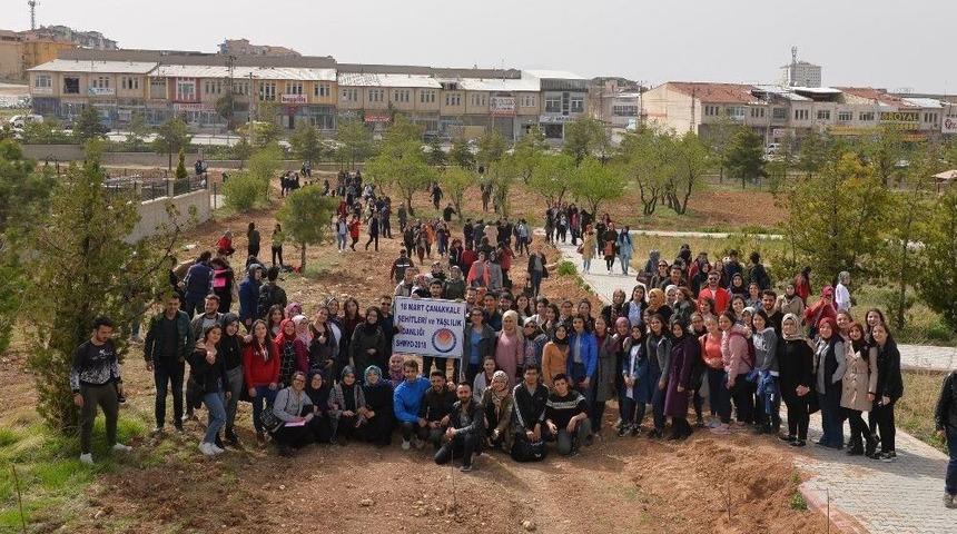 Km&uuml;&rsquo;de 180 Meyve Fidanı Toprakla Buluşturuldu