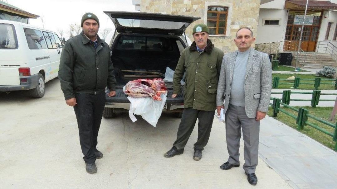 Koruma Altındaki T&uuml;rlerden Dağ Ke&ccedil;isi Avına 16 Bin Lira Ceza