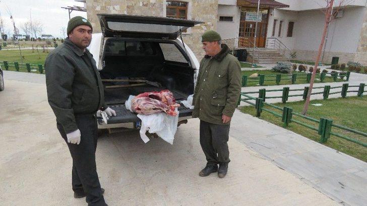 Koruma Altındaki Türlerden Dağ Keçisi Avına 16 Bin Lira Ceza G3