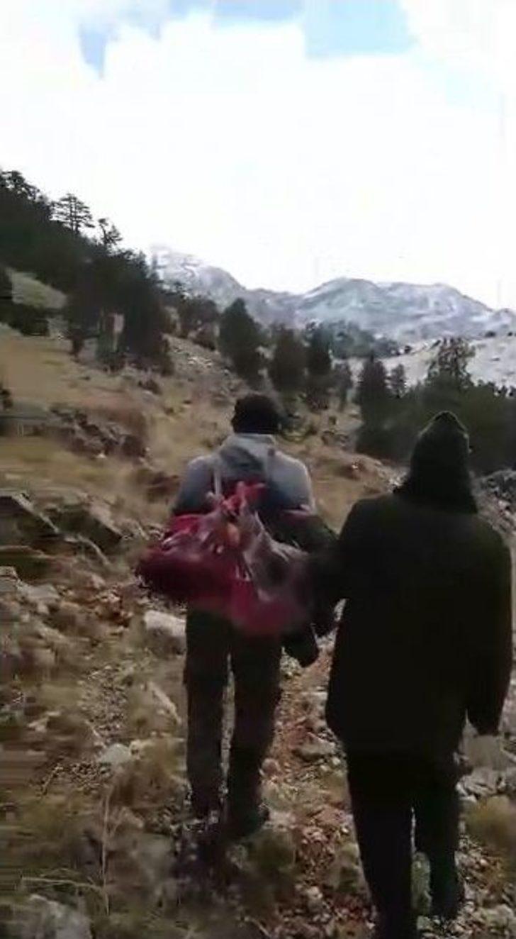 Koruma Altındaki Türlerden Dağ Keçisi Avına 16 Bin Lira Ceza G4