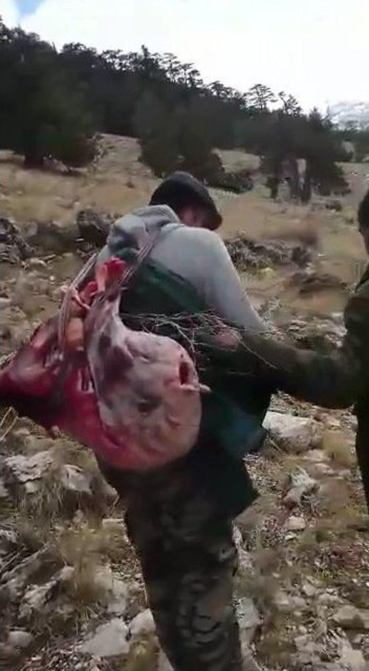 Koruma Altındaki Türlerden Dağ Keçisi Avına 16 Bin Lira Ceza G5