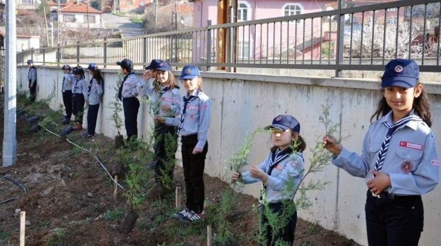 Minik İzciler Fidanı Toprakla Buluşturdu