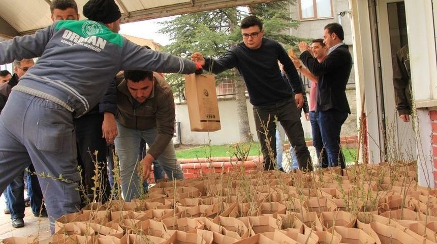 Domani&ccedil; Orman İşletme M&uuml;d&uuml;rl&uuml;ğ&uuml;, Vatandaşlara Gelir Getirici Fidan Dağıttı