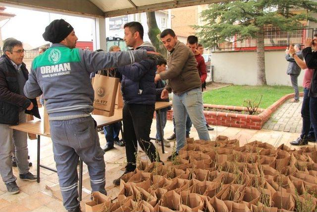 Domaniç Orman İşletme Müdürlüğü, Vatandaşlara Gelir Getirici Fidan Dağıttı