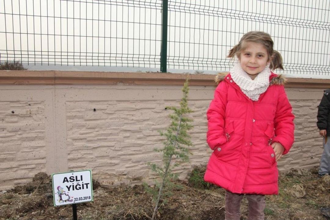 Devlet Ana Anaokulu &Ouml;ğrencilerinden Hatıra Ormanı