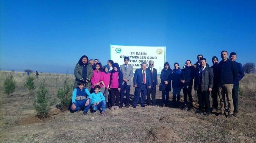 &Ouml;ğretmenlerden 3 Bin 789 Fidan