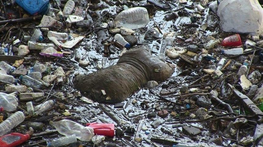 Muratlı Baraj G&ouml;l&uuml;&rsquo;nde Bir Erkek Cesedi Bulundu