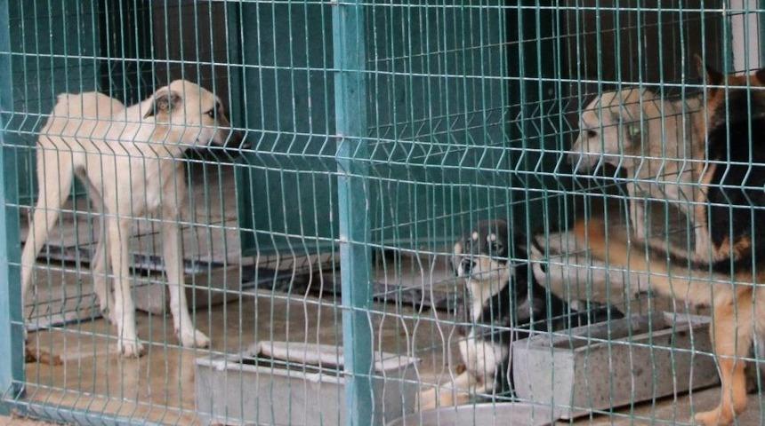 Polatlı&rsquo;dan Geldiler &Ccedil;ankaya&rsquo;da İyileşecekler