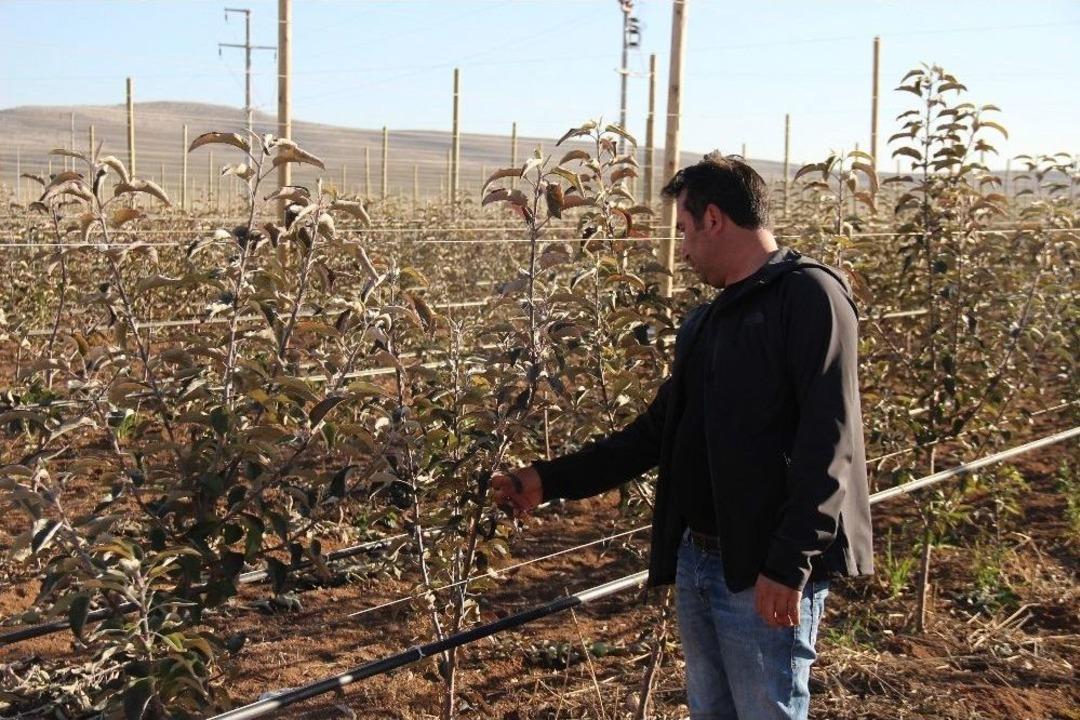 (&ouml;zel Haber) Taşlı Tarladan Servet Kazandı