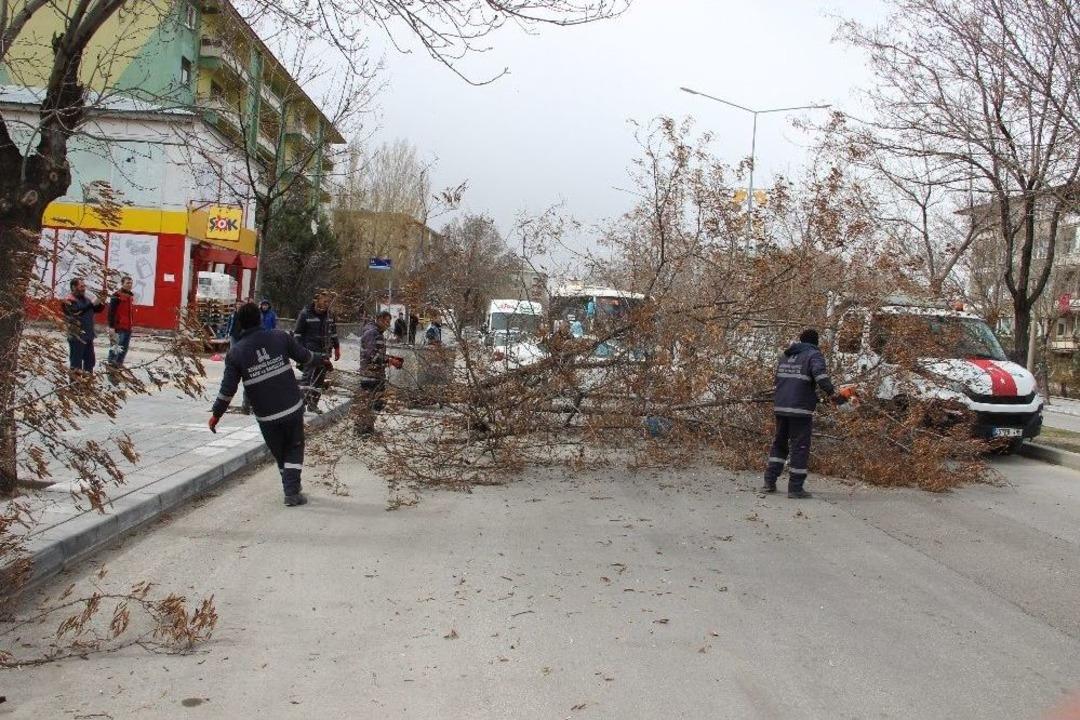 Erzurum&rsquo;da Şiddetli R&uuml;zgar Hayatı Adeta Fel&ccedil; Etti