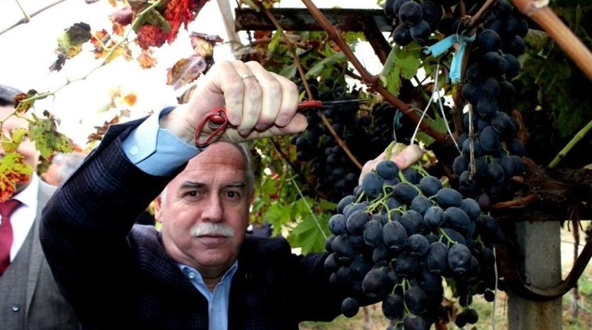 Ak Partili Berber&rsquo;den &Ccedil;ift&ccedil;i Bor&ccedil;larına Yapılandırma M&uuml;jdesi