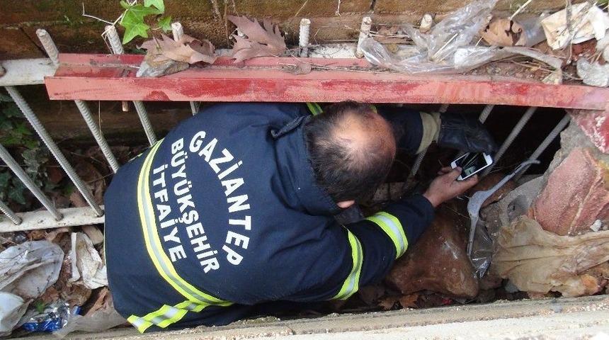 Kanala D&uuml;şen K&ouml;peği İtfaiye Ekipleri Kurtardı