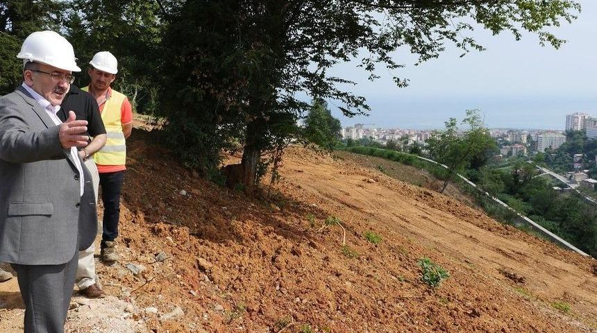 Botanik’te Farklı Ağaç Türlerinin Dikimine Başlandı