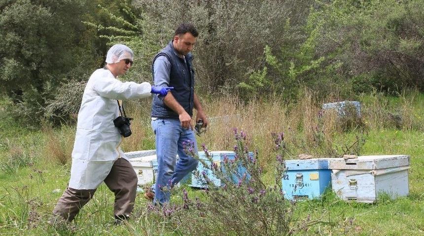 Milas&rsquo;ta Kovan Hırsızlığı