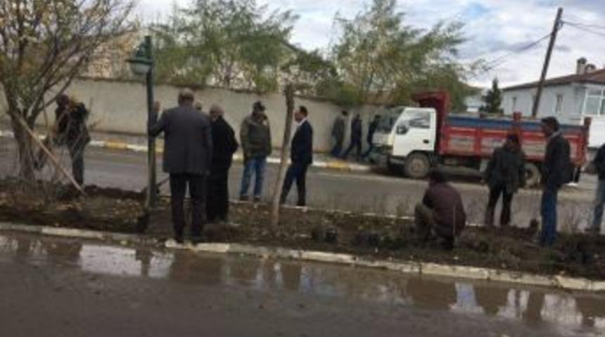 Tuzluca&rsquo;da Fidan Dikimi