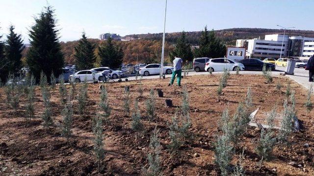 İzmit Belediyesi’nden Parklardaki Olumsuzluklara Anında Çözüm