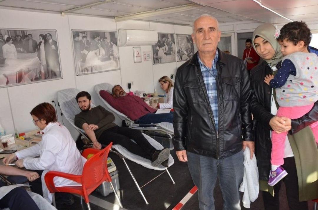 L&ouml;semi Hastası &Ccedil;ınar İ&ccedil;in Uygun Don&ouml;r Aranıyor