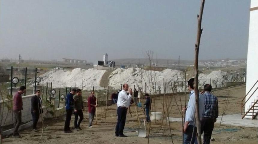 Van&rsquo;da Fidan Dikimi