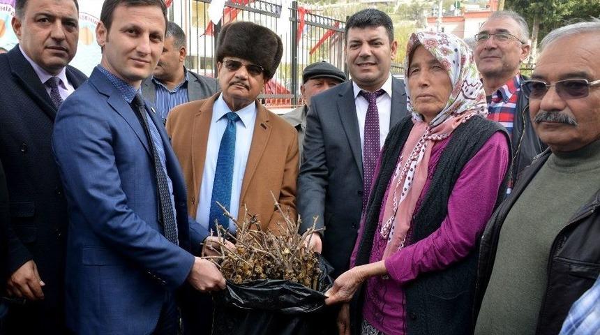 Kişniş Fideleri &Uuml;reticinin Y&uuml;z&uuml;n&uuml; G&uuml;ld&uuml;rd&uuml;