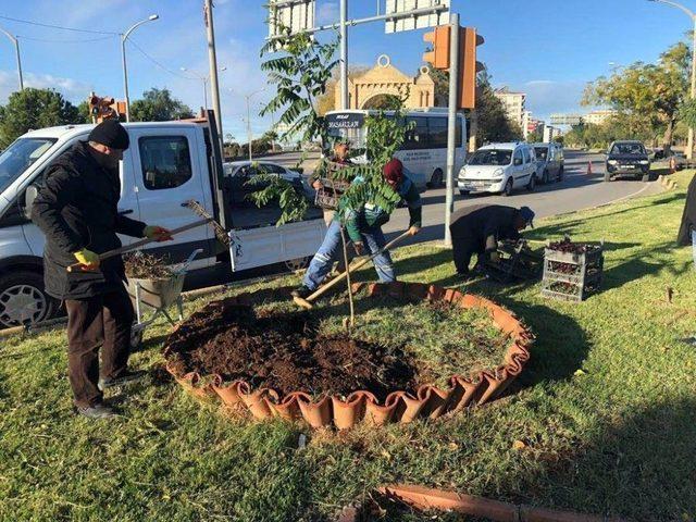 Kilis Kent Merkezine Bir Milyon Çiçek Dikiliyor