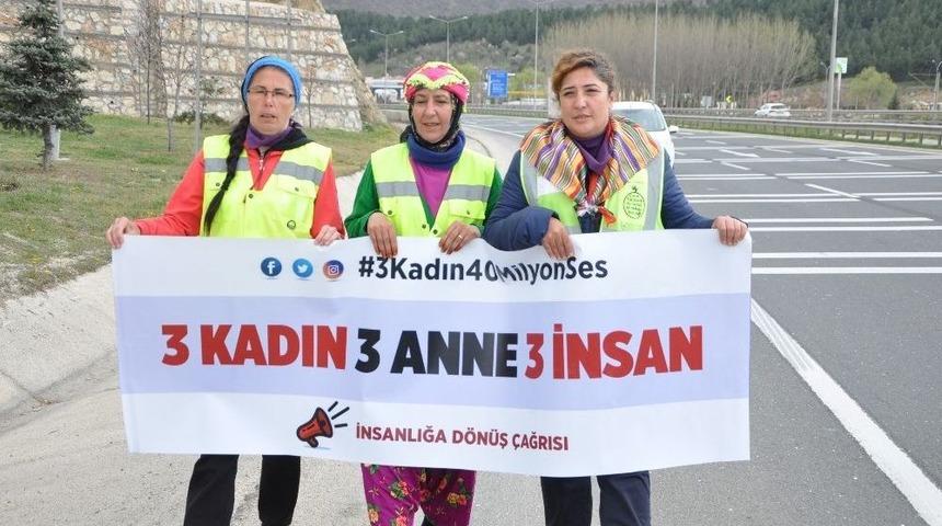 Boz&uuml;y&uuml;k&rsquo;e Ulaştılar