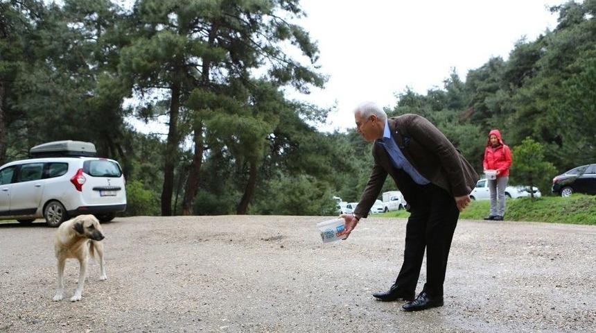 G&ouml;n&uuml;ll&uuml; Eller Can Dostlara Uzandı