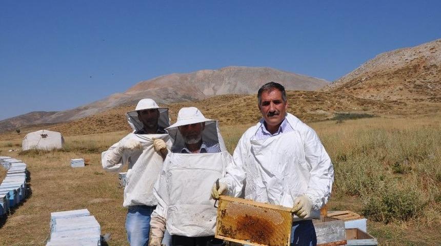 Sincikli Arıcılar Destek Bekliyor