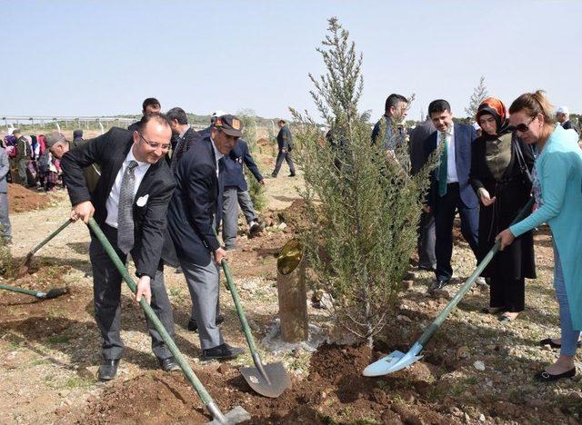 Kahramanmaraş’ta ‘şehitler Ormanı’ Kuruldu