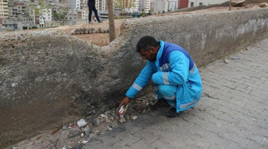 Temizlik İşçisi Okul Yoluna Tuzaklanmış Bomba Buldu