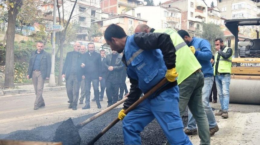 Başkan Doğan Karış Karış Gezdi