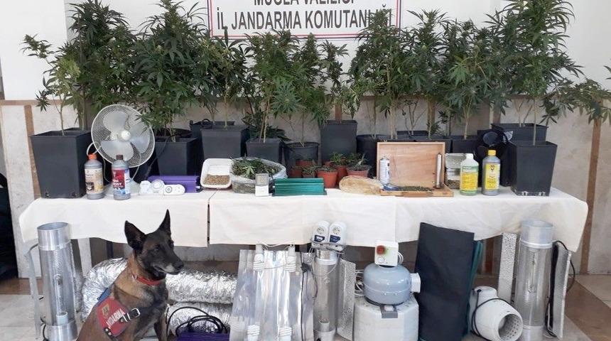 Uyuşturucu &Uuml;retmek İ&ccedil;in Evini Seraya &Ccedil;evirdi