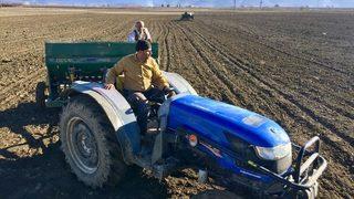 Antalya Buğdayını Arıyor Projesi