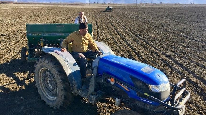 Antalya Buğdayını Arıyor Projesi
